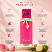 Vulcan Baie EDP 100ml by French Avenue – 3.4 Fl Oz (Pack of 1), nO COLOR, Model 6298042000926