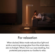 Solarcycle Morph™ Floor Light CF by Dyson – Metal, Black, Model 292217-01