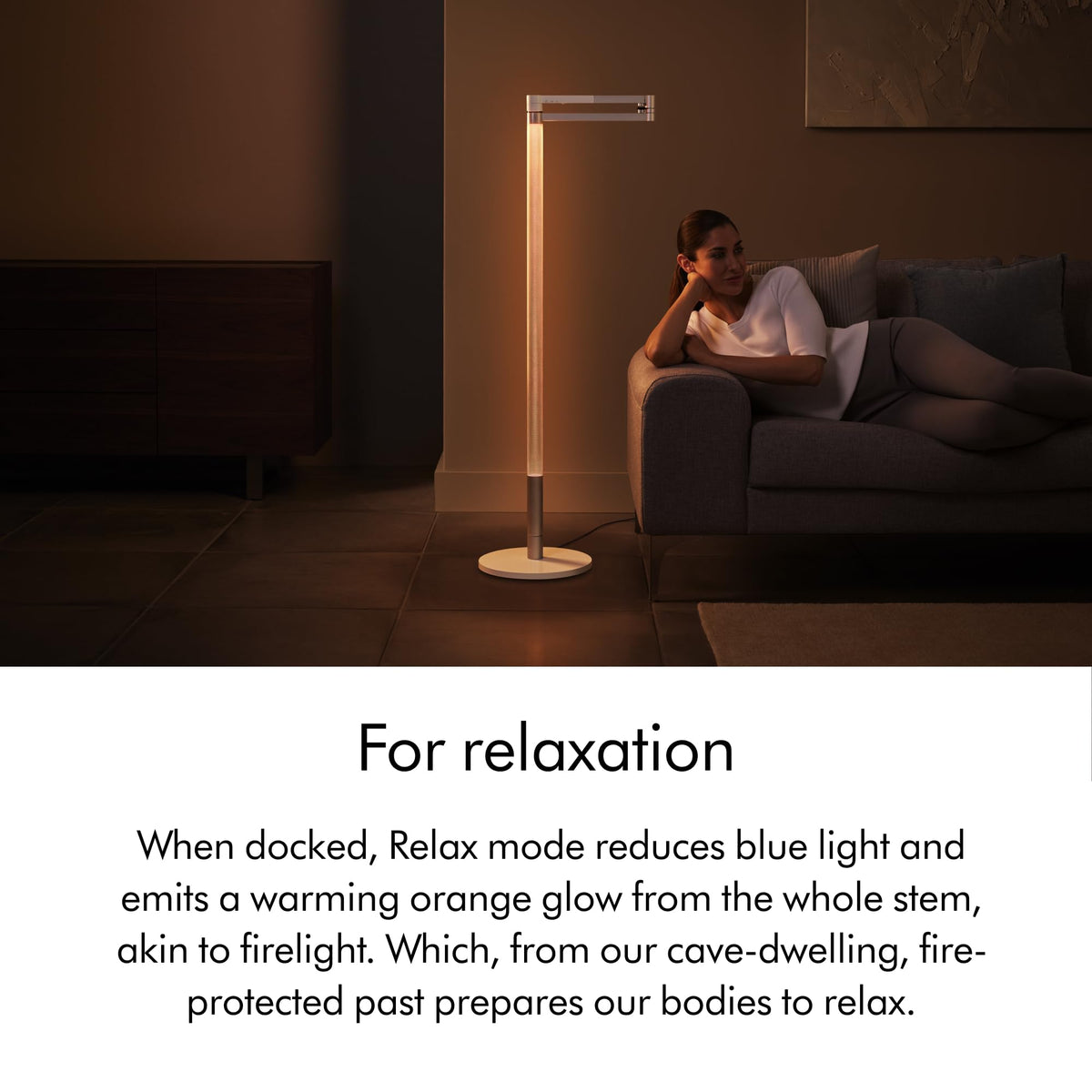 Solarcycle Morph™ Floor Light CF by Dyson – Metal, Black, Model 292217-01
