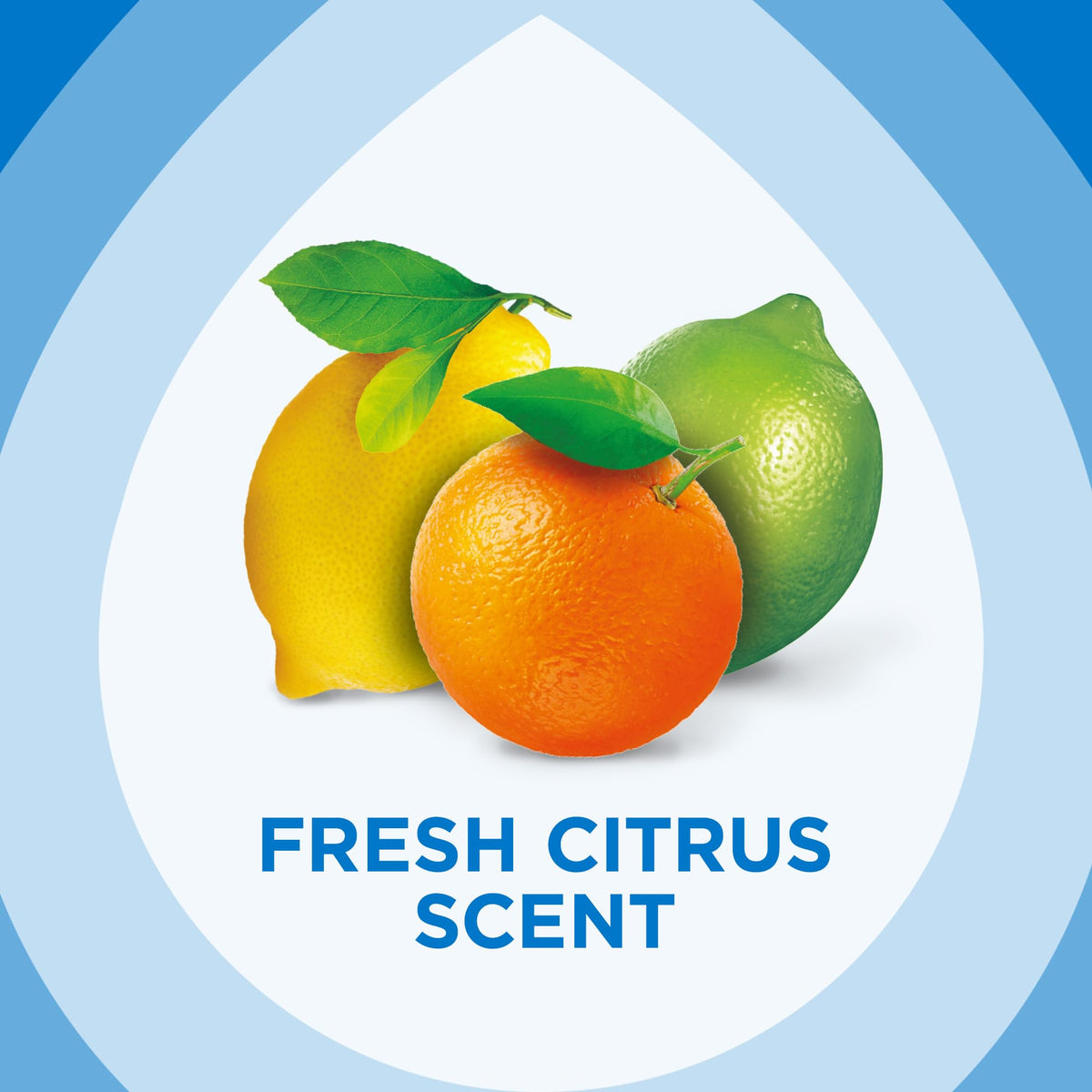 Pledge 25 Ounce (Pack of 3) / Citrus / 25 Ounce All-Purpose Cleaners