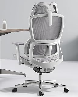 Hbada E2 Ergonomic Office Chair, Big and Tall Mesh Office Chair with 6-Way Dynamic Lumbar Support, 3D Adjustable Armrests, 3D Adjustable Headrest, Grey (No Footrest)