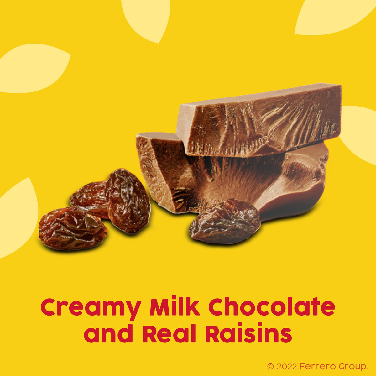 Raisinets Milk Chocolate / 8 Ounce (Pack of 8) / Chocolate Fruit
