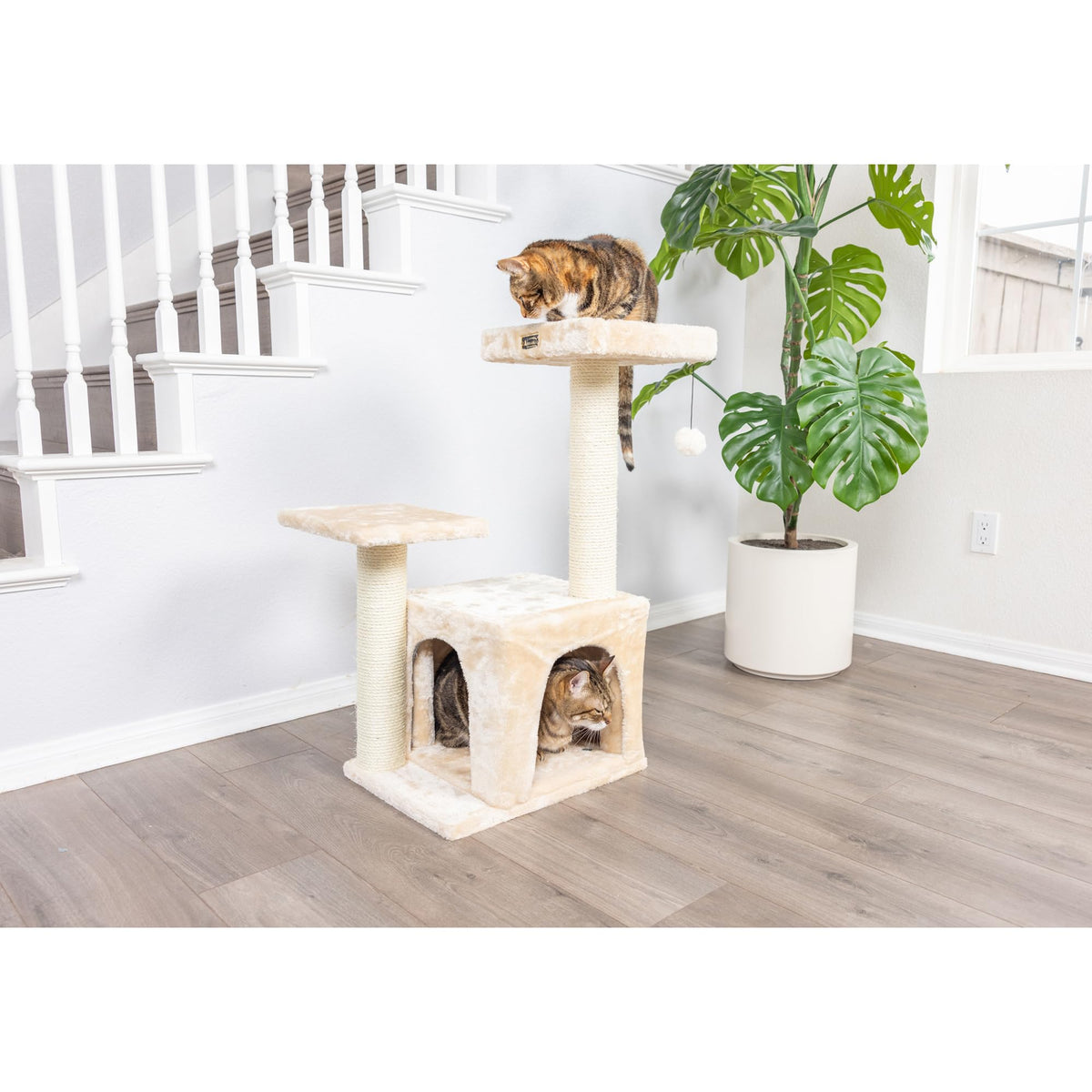 Classic Real Wood Cat Tree by Armarkat – 22"L X 17"W X 32"H, Engineered Wood, Beige, Model A3207