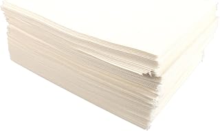 Pitco A6667103 Filter