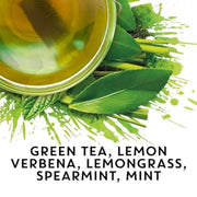 Tea Bags by TAZO – 36 Count, Green, Model 68814413