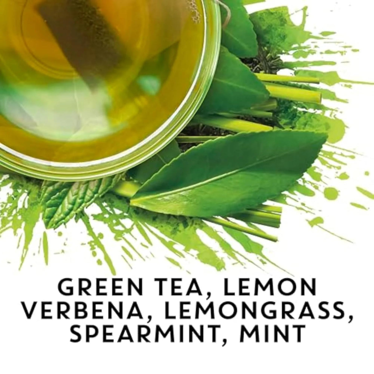 TAZO 36 Count / Green / 1 Herbal