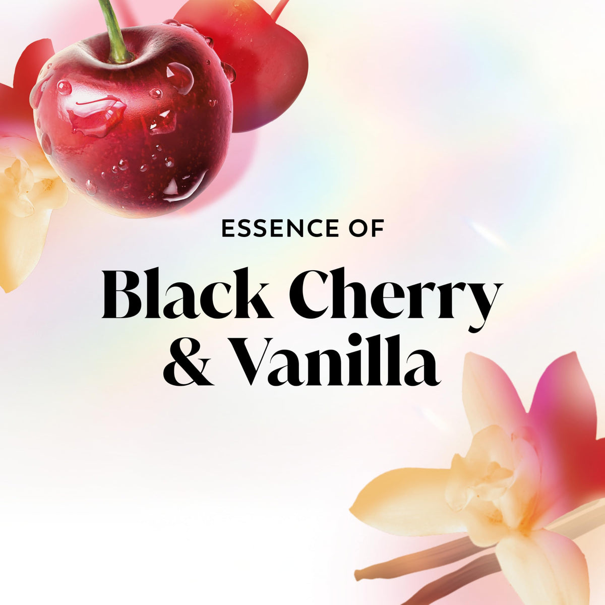 Olay Black Cherry and Vanilla / 22 Fl Oz (Pack of 1) / White Body Washes