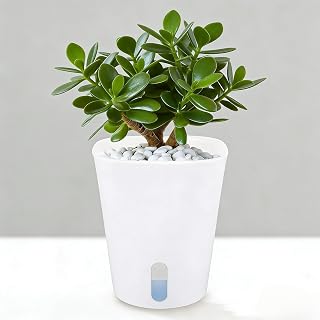 Double-Layer Self Watering Flowerpot Plastic Flower Planters with Absorbent Cotton Rope Garden Home Tabletop Pot(Small,8.5 * 3.3cm)