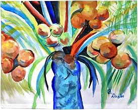 PM1514 More Coconuts Place Mat - 14 x 18 in. - Set of 4