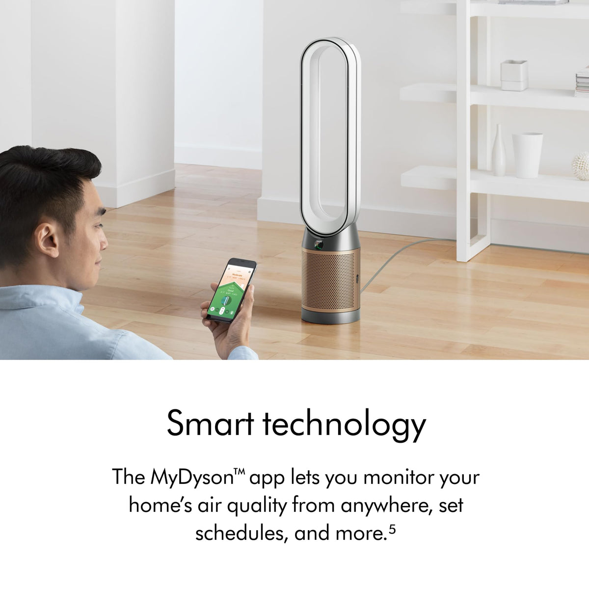 Purifier Cool PC2 De-NOx by Dyson – large, White/Gold, Model 544536-01