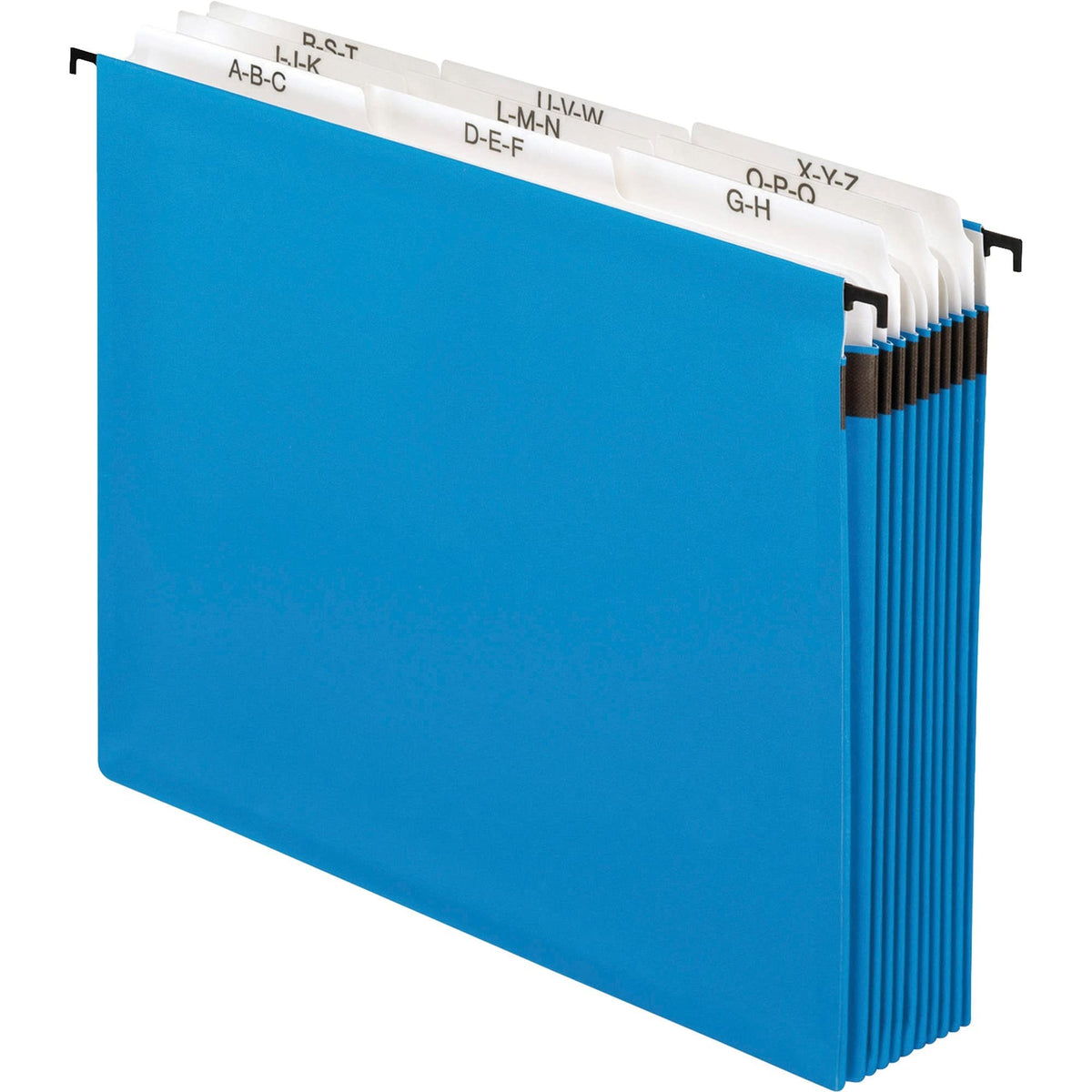 Nine-Section Hanging Folder by Pendaflex – Letter, Paper, Blue, Model 59225