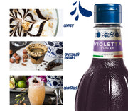 Flavoring Syrup by Fabbri – 35 Fl Oz (Pack of 1)