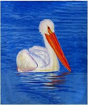 Betsy Drake White Pelican Portrait Throw