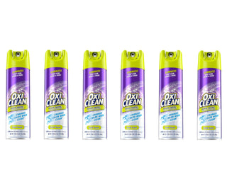 Foam-Tastic - Fresh - 19 oz - 6 pk by OxiClean – 19 Fl Oz (Pack of 6), Pack of 6, Model HDL-037B