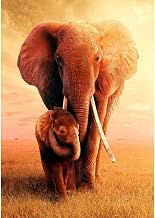 N/A 5D DIY Full Round Drill Diamond Painting Snuggle Elephant Cross Stitch Kit