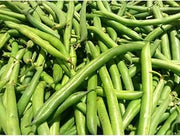 Commodity Canned Fruit and Vegetables Extra Standard 4 Sieve Green Bean, Number 10 Can - 6 per case.