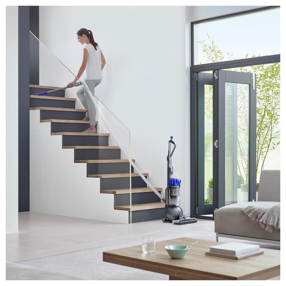 Ball Animal 2 Plus Corded Vacuum by Dyson – 0.45 gallons, Molded Blue, Model 626389-01