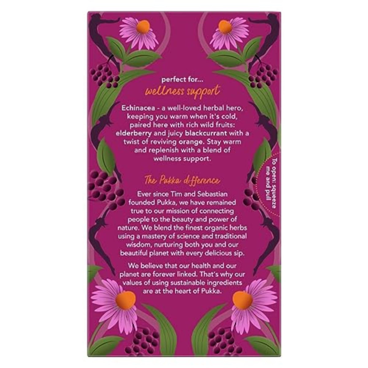 Elderberry & Echinacea Organic Herbal Tea by Pukka – 20 Count (Pack of 4), Pack of 4, Model 69632936