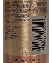 Mousse Plus 10.6 Ounce Volumizing Foam Medium Hold (313ml) (2 Pack) by Nexxus – 10.6 Ounce (Pack of 2), Pack of 22, Model NMP10B-B