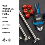 EvolutionX Immersion Blender with 35-Gallon Capacity by Waring – 18", 35.0 gallons, Stainless Steel, Model WSB650X