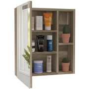 DEPOT E-SHOP Weathered Oak / 17.7"W x 19.5"H x 5.4"D / Modern Medicine Cabinets