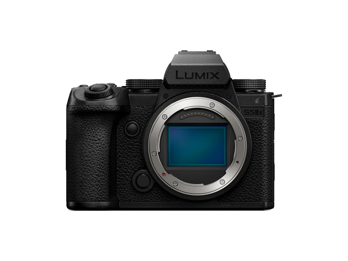 Panasonic Body Only / Black-9 / 1 Mirrorless Cameras