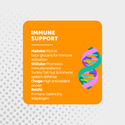 Mushroom Gummies, 10 Super Mushrooms for Immune Support, Focus & Energy - with Lions Mane, Reishi & Cordyceps, 60 Count - Vegan & Gluten Free by Gusevit – Model RQ-XUXJ-UROQ