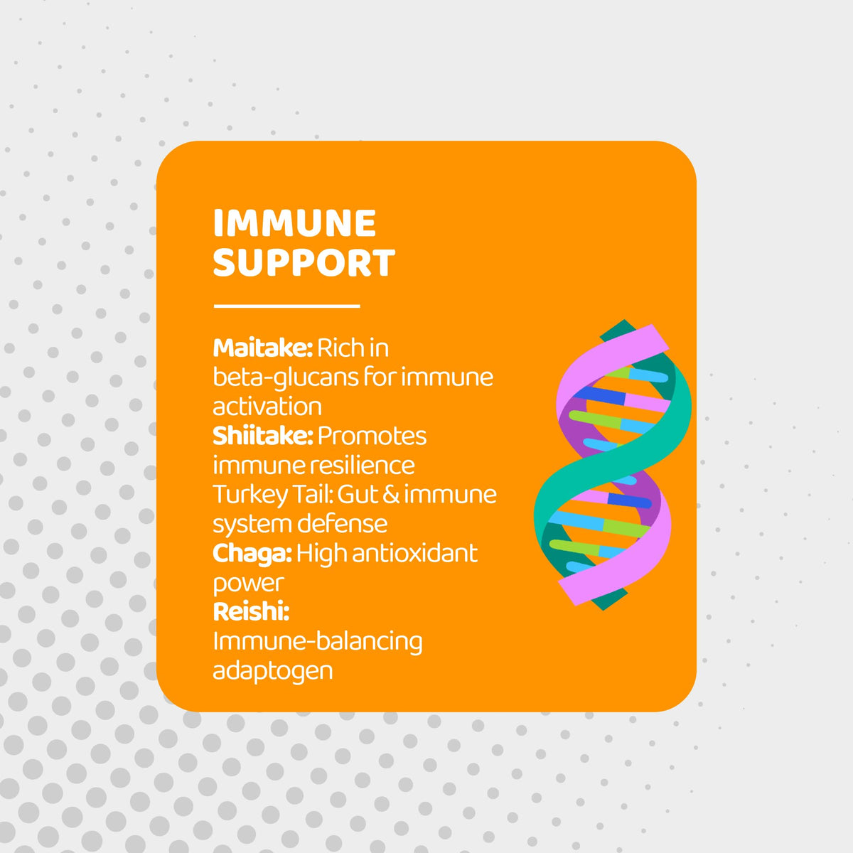 Mushroom Gummies, 10 Super Mushrooms for Immune Support, Focus & Energy - with Lions Mane, Reishi & Cordyceps, 60 Count - Vegan & Gluten Free by Gusevit – Model RQ-XUXJ-UROQ