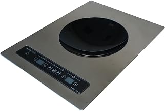 Equipex (DWIC 3600) - 17" Exclusive Drop-In Induction Cooker