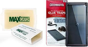 Catchmaster Mouse & Pest Glue Board Bundle, 36 Unscented Glue Boards & 6 Pack Large Glue Traps, Rat & Mouse Traps Indoor for Home, Pest Control