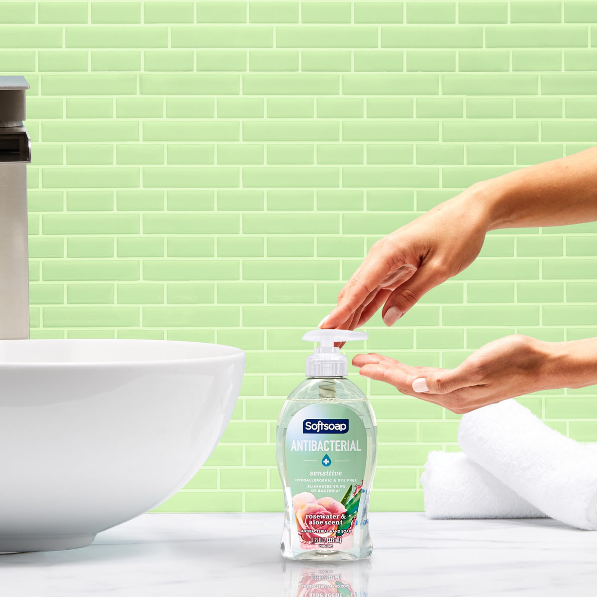 Softsoap Rosewater & Aloe / 11.25 Fl Oz (Pack of 6) / Clear Hand Wash