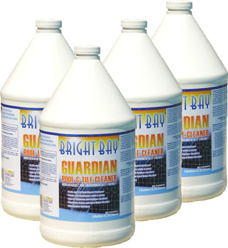 Pool & Tile Cleaner by Guardian – 4 Count (Pack of 1), Stone, Model P1128CS
