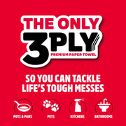 Tear-A-Square 3-Ply Paper Towels by Brawny – 100 Sheets (Pack of 6 New), Paper, White, Pack of 6, Model 445885