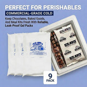 BOX USA 9-Pack Large 10x6 / White / Classic Cold Packs