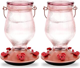 Perky-Pet Woodstream 9104-2 Hummingbird Feeder, Sun Kissed - Quantity 2