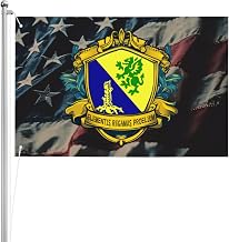 US Chemical Corps Regimental Insignia Double Sided 3 Ply 2x3 FT Flag Thick Polyester Indoor Outdoor1