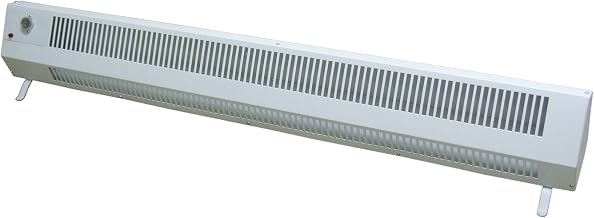 1,250 Watt Wall Mounted Electric Convection Baseboard Heater