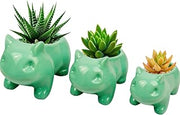 3 Pack Succulent Plant Pots, Ceramic Planters Mini Cute Animal Planters for Potted Plants Cactus Flowers Home Decor Crafts Gifts