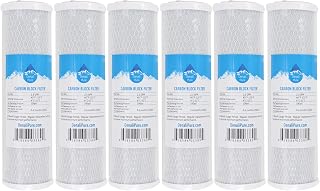 6x Compatible with Everpure CGS-10 EV910010 Activated Carbon Block Filter | Universal 10 inch Filter Compatible with EVERPURE CGS-10 SINGLE SERIES 10" HOUSING