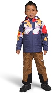 The North Face Kids Freedom Insulated Jacket (Toddler)