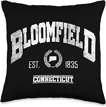 Bloomfield CT | Connecticut | Vintage Throwback Throw Pillow