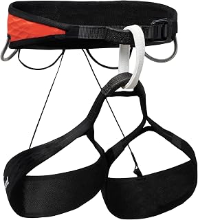 BLACK DIAMOND Womens Airnet Rock Climbing Harness, Octane, Large, BD6511088001LRG1