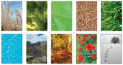 Paper Collections by Pacon – Nature’s Trail, Model 0072292