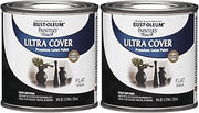 Rust-Oleum 1976730 Painter's Touch Latex Paint, Half Pint, Flat Black, 8 Fl Oz (Pack of 2)