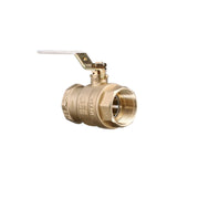 Watts 1 Inch / Threaded End Connections / 1 Ball Valves
