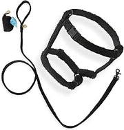 Medium Teddy Boucle Adjustable H Harness and 6FT Leash Dog Walk Set with Matching Poop Bag Pouch, Durable Nylon and Black Metal Hardware, Ink WLK1002C-4SET