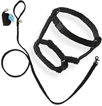 Medium Teddy Boucle Adjustable H Harness and 6FT Leash Dog Walk Set with Matching Poop Bag Pouch, Durable Nylon and Black Metal Hardware, Ink WLK1002C-4SET