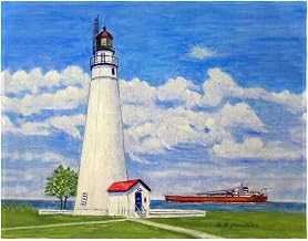 PM1301 14 x 18 in. Fort Gratiot Lighthouse MI Place Mat Set of 4
