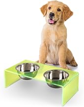 DBL2000G Keaton 5" Small/Medium Modern Acrylic Rectangular Elevated Pet Feeder with 20oz 2-Stainless Steel Bowls, Green/Chrome