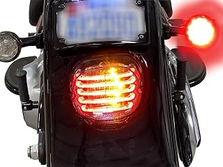 Custom Dynamics Low Profile Integrated ProBEAM Tail Light - Smoke with Bottom Window